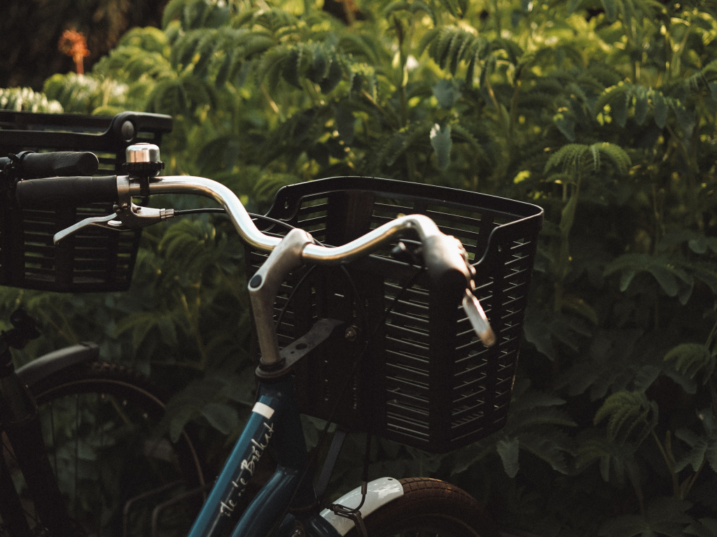 Zoomer sur l'image : DSCF5151.JPG