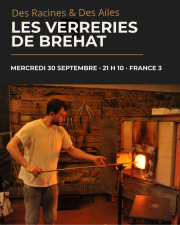 Des racines et des ailes.jpg